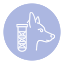 ícone de endocrinologia veterinária