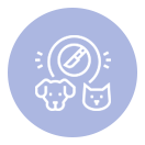 ícone de internação e cirurgia veterinária