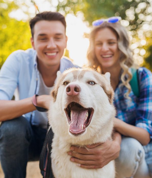 casal abraçando seu cão em um parque