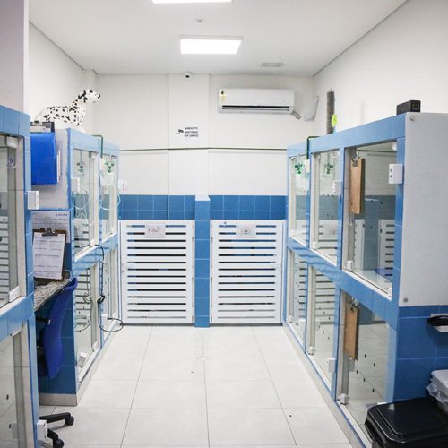 Sala de internação do Centro Veterinário Vet Taboão